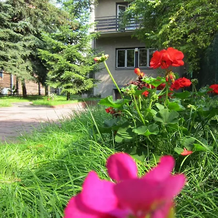 Guest With Large Sunny Terrace *